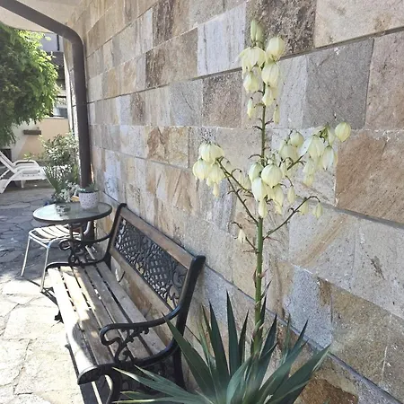 Family Primo ホテル プリモルスコ