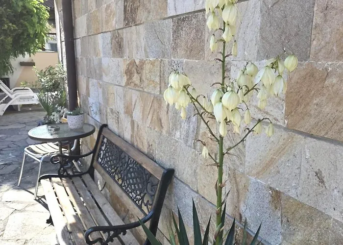 Family Primo 酒店 普里莫尔斯科